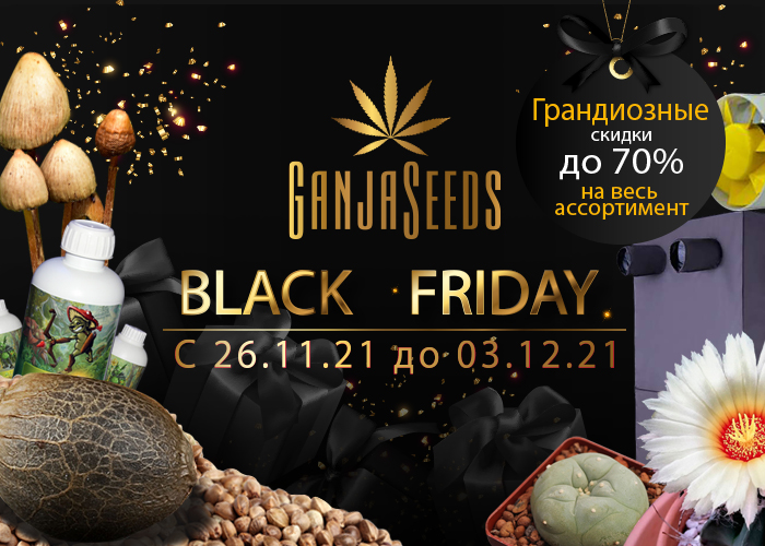 Black Friday в интернет-магазине GanjaSeeds: обвал цен и большие возможности