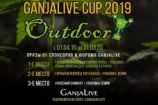 «GanjaLive Cup 2019 - Outdoor»: конкурс гроверів з серйозним призовим фондом