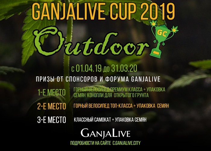 «GanjaLive Cup 2019 - Outdoor»: конкурс гроверов с серьезным призовым фондом