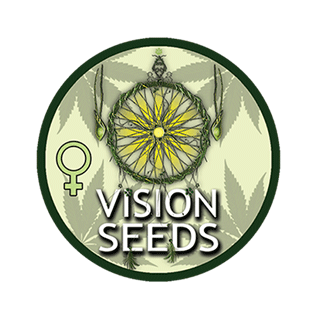 3350 Semena konopli Vision Seeds kypit semena konopli iz Gollandii, kypit semena konopli v Ykraine