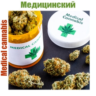 сорта медицинской марихуаны