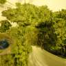 купить автоцветущие семена конопли Auto Pineapple feminised купить автоцветущие семена конопли Auto Pineapple feminised