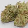 заказать семена конопли курьером Grapefruit Haze feminised заказать семена конопли курьером Grapefruit Haze feminised