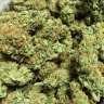заказать семена конопли Chronic feminised заказать семена конопли Chronic feminised