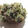где можно заказать семена конопли White Blueberry Pie feminised где можно заказать семена конопли White Blueberry Pie feminised