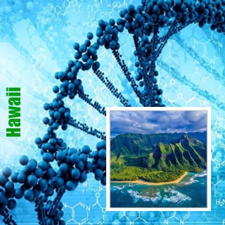 Hawaii-min  Hawaii | Genetika  Marihyanni  |  Magazin GanjaSeeds Hawaii, GanjaSeeds.com.ua генетика Hawaii