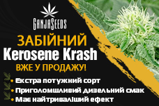 Роздаємо насіння Kerosene Krash feminised під репорт!