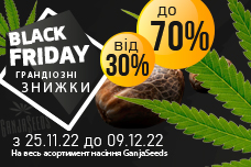 Black Friday – знижки на насіння конопель до 70%!