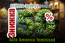 -50% на Auto Amnesia feminised!