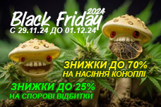 GanjaSeeds: Чорна П’ятниця 2024 – знижки до 70%!