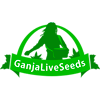 Прайс GanjaLiveSeeds