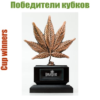 Сорта конопли победители кубков Сорта конопли победители кубков