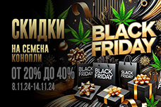Черная Пятница все ближе — а скидки в GanjaSeeds продолжают расти!
