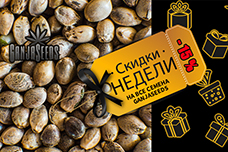 Скидки недели сентября!