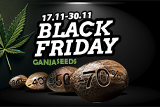 ЧЕРНАЯ ПЯТНИЦА 2025 — скидки до 70%!