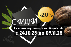 Осенняя акция от GanjaSeeds: −20% на все сорта
