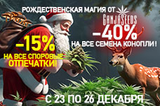 Рождественская магия от GanjaSeeds!