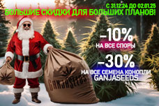 GanjaSeeds: Большие скидки для больших планов!
